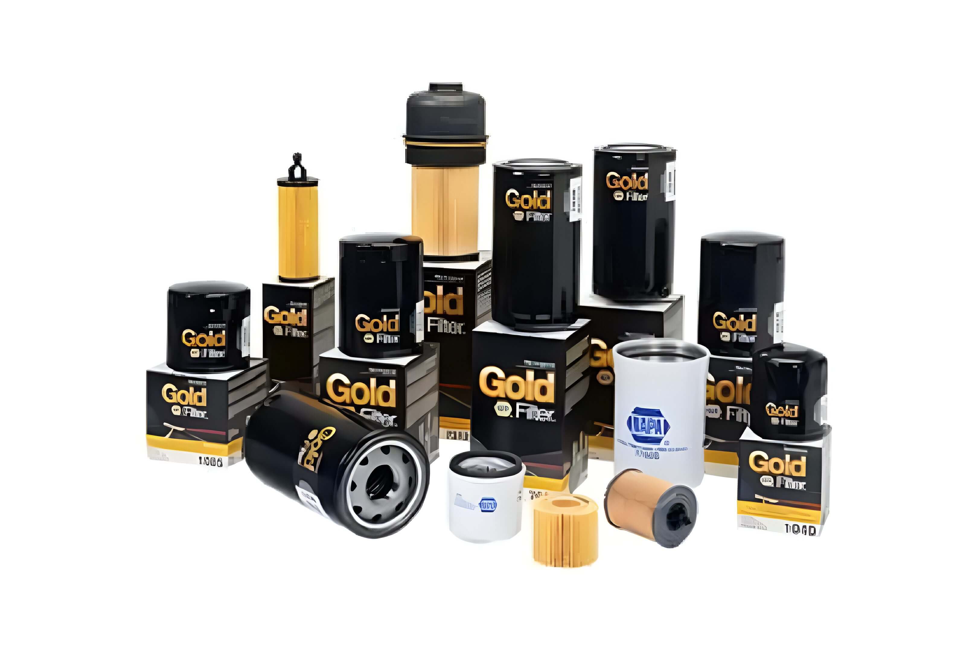 Various oil filters in different sizes and brands arranged together.